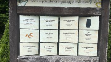 Wrażenia z warsztatów w łódzkiej sortowni odpadów.